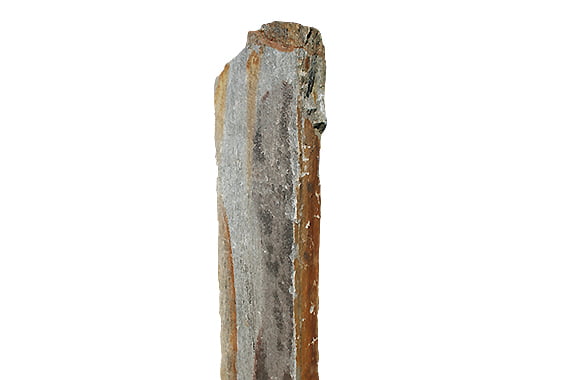 Monolithe gneiss