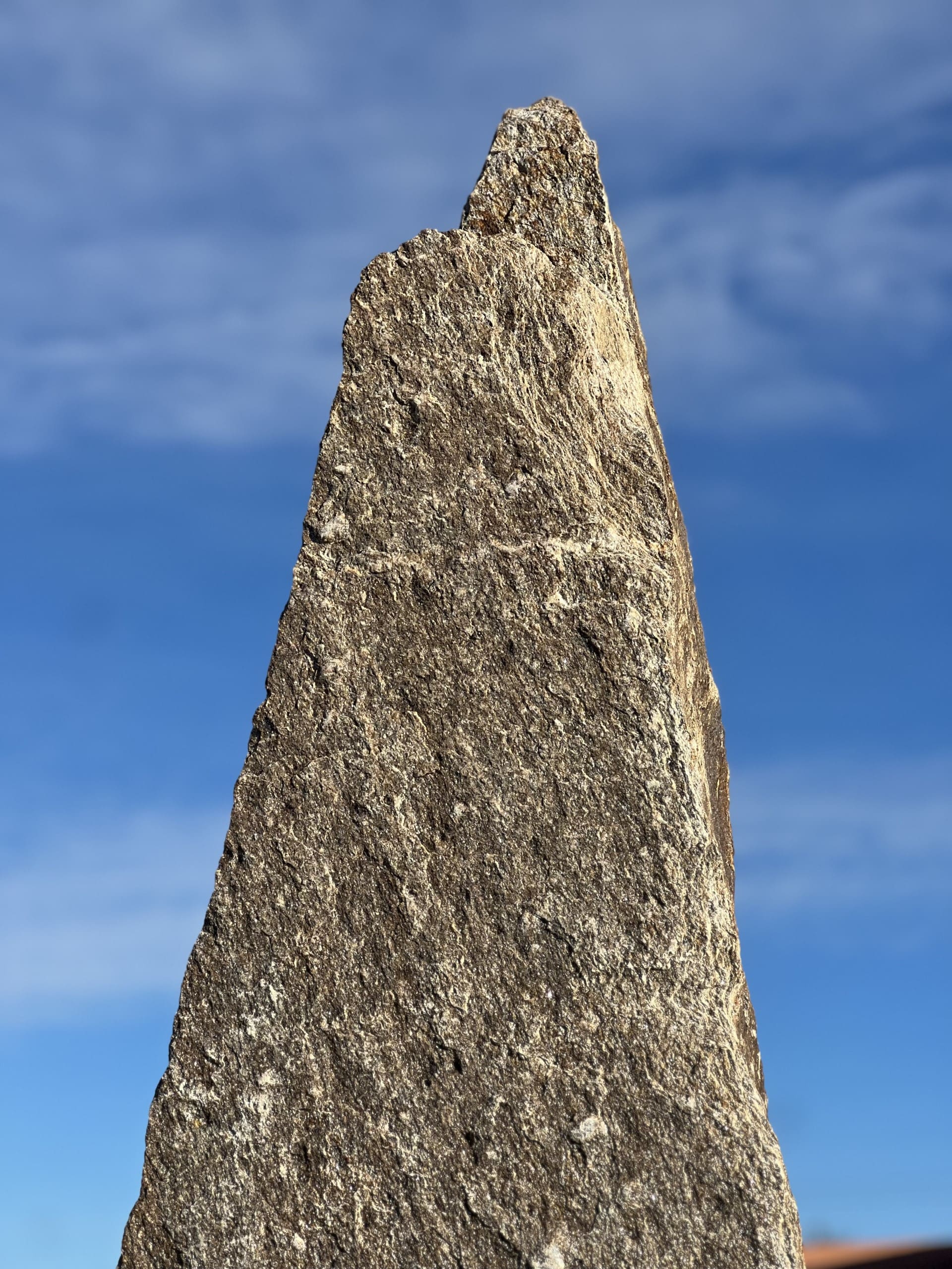 MONOLITHE GNEISS