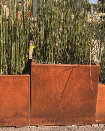 bac corten