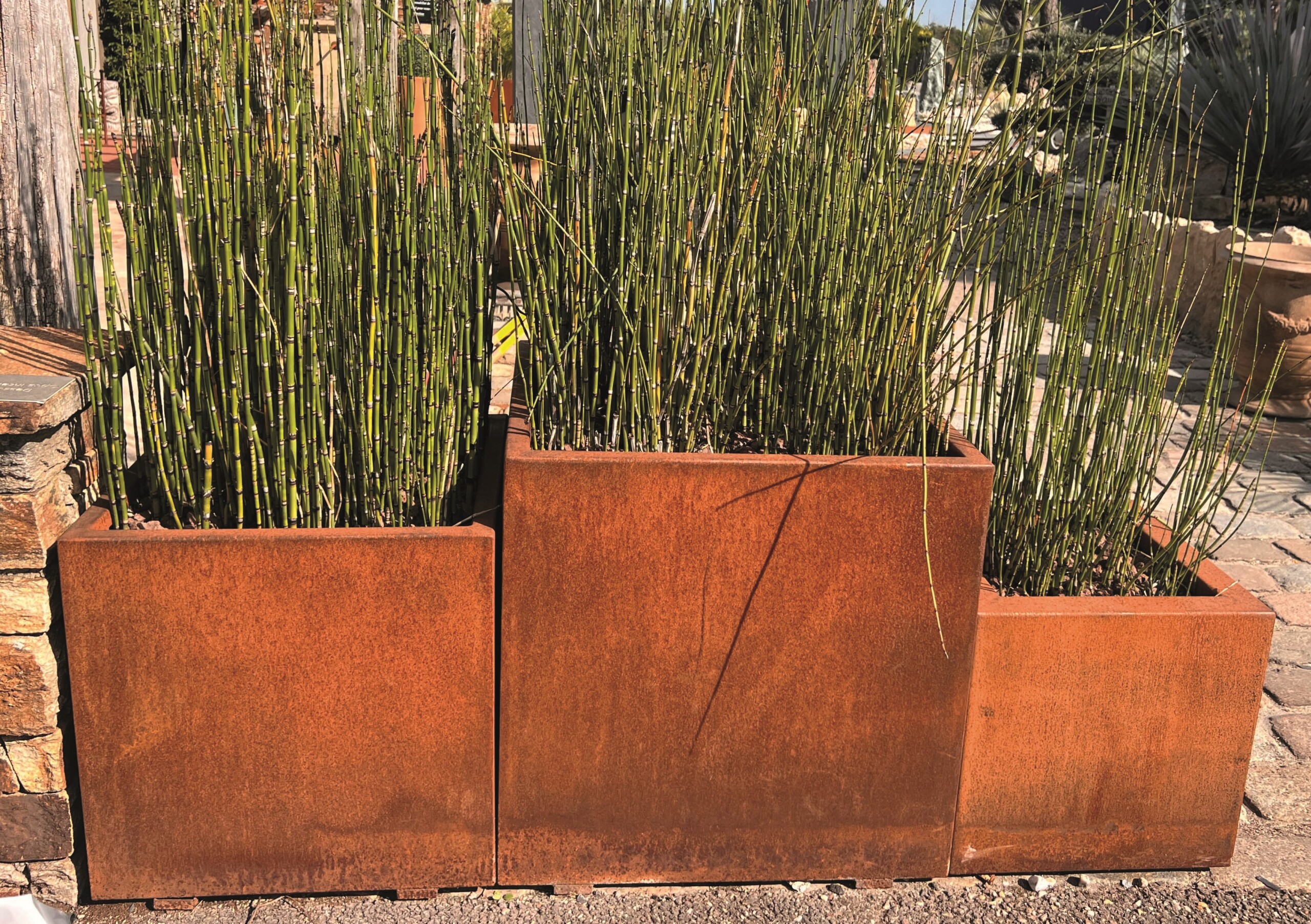 bac corten